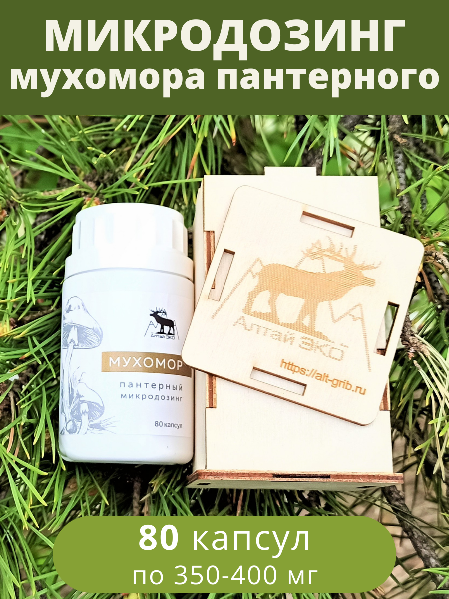 Микродозинг Мухоморов Цена Спб